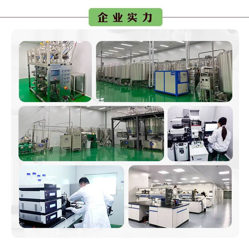 QC Laboratory